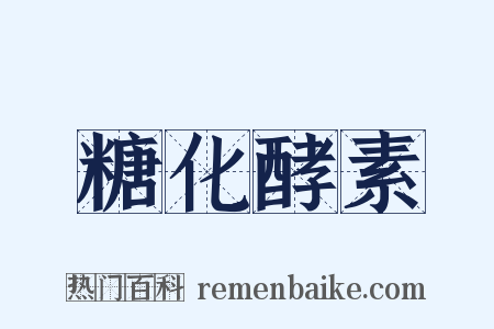 糖化酵素是什么意思的图片